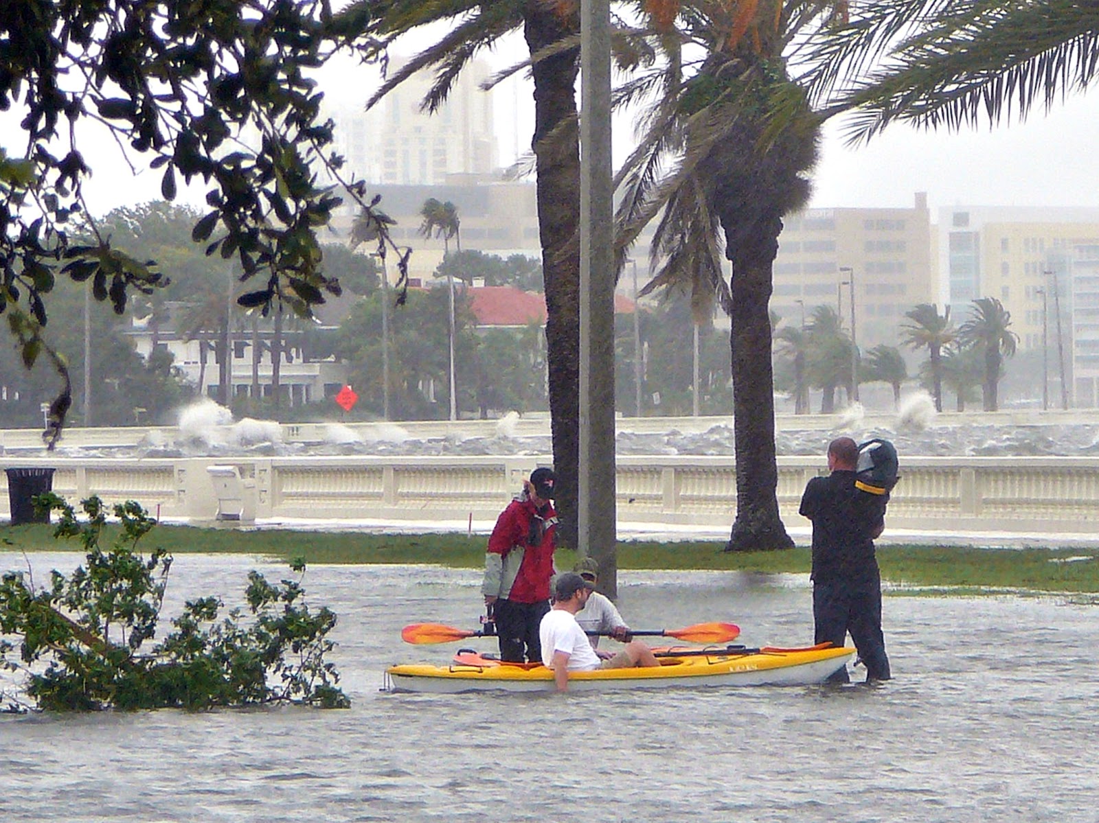 Tampa Daily Photo CLOSED Storm Floods Tampa's Bayshore