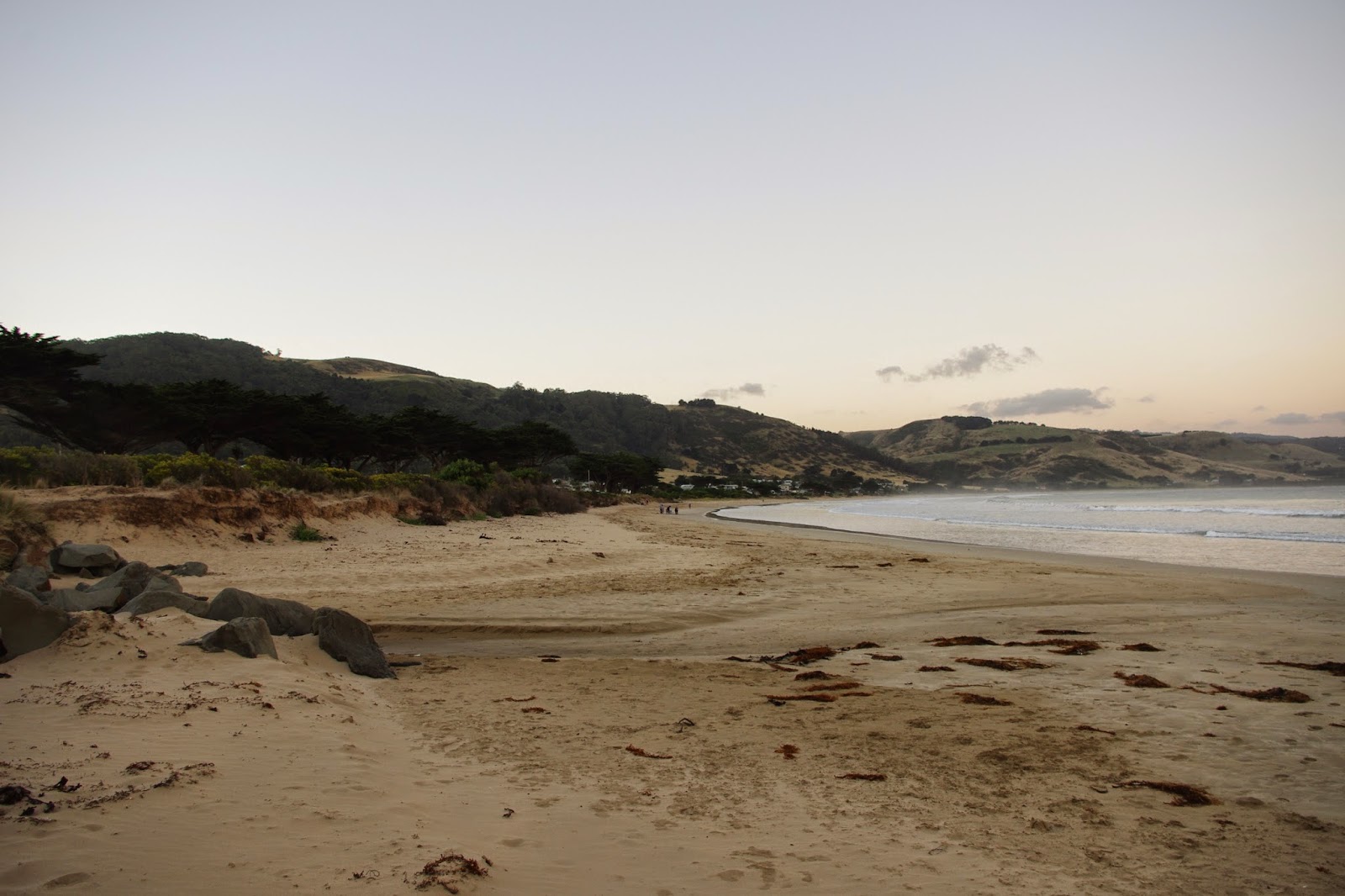 Apollo Bay at low tide