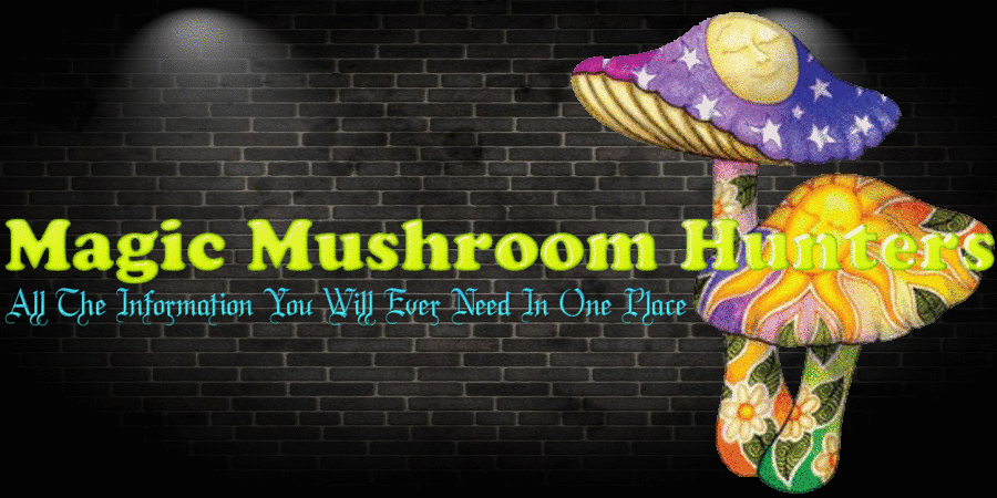 Magic Mushroom Hunters