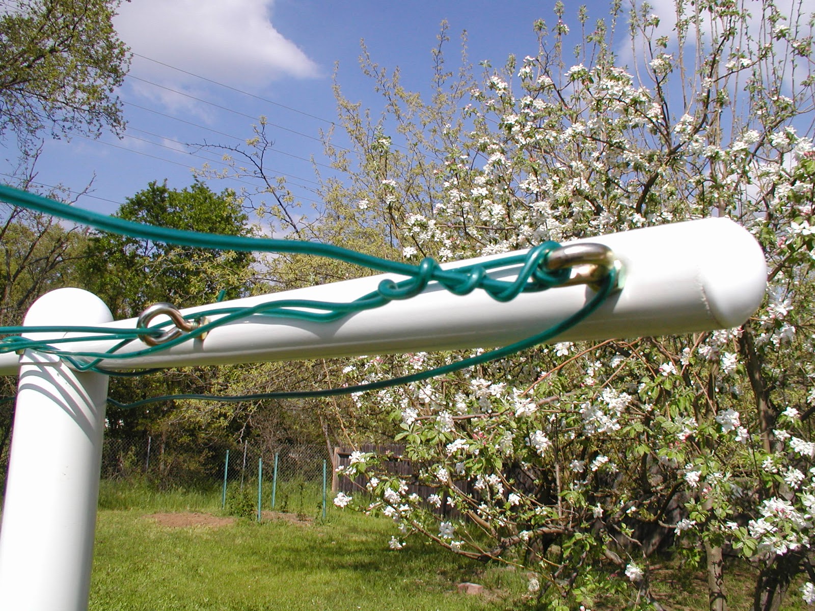 Tuesday Mornings A Backyard Clothesline