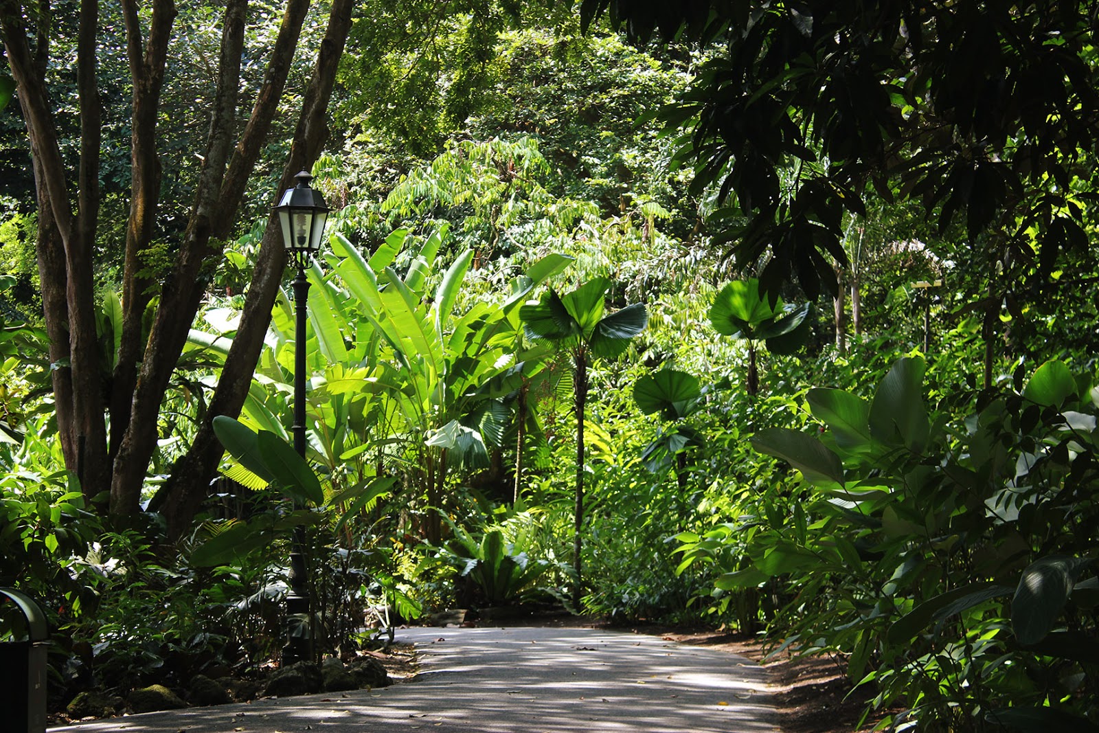 Tea at the Ginger Garden Halia theMOOSE makan travel 画画 * a Singapore food and travel blog