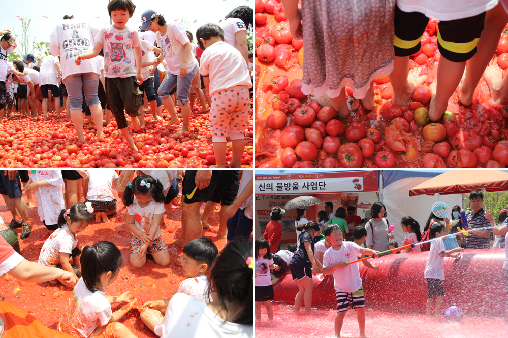 Fun & Free Daegu Travel Tomato Festival In Korea┃2016 Dalseong Tomato