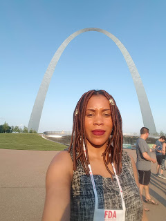 Going Going Gone: St. Louis