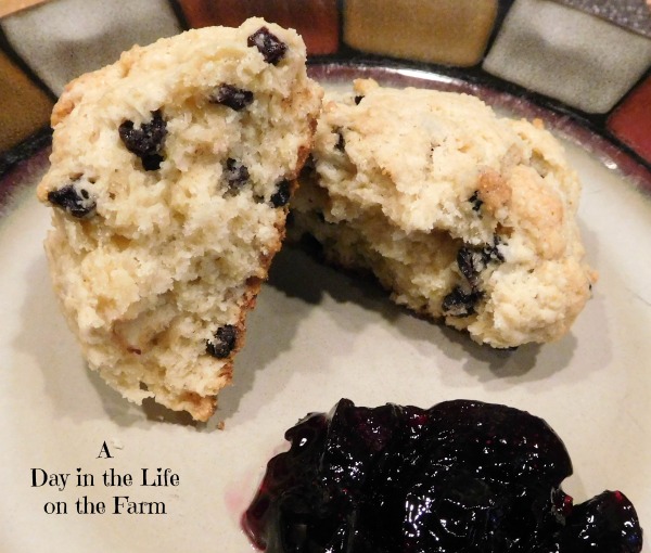 A Day in the Life on the Farm Currant Drop Scones for an Irish version