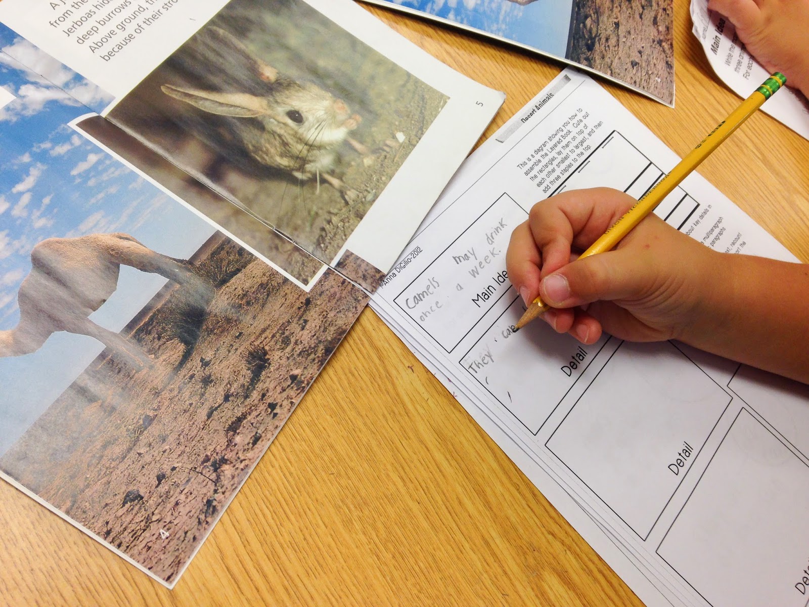 Simply Skilled In Second Mastering Main Idea Using Task Cards