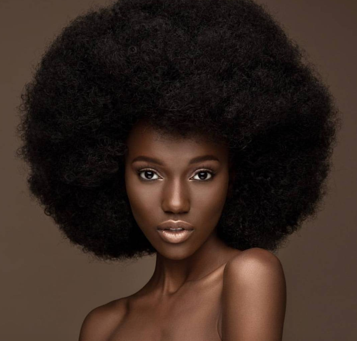 African Black Soap Shampoo Curlynikki Natural Hair Care