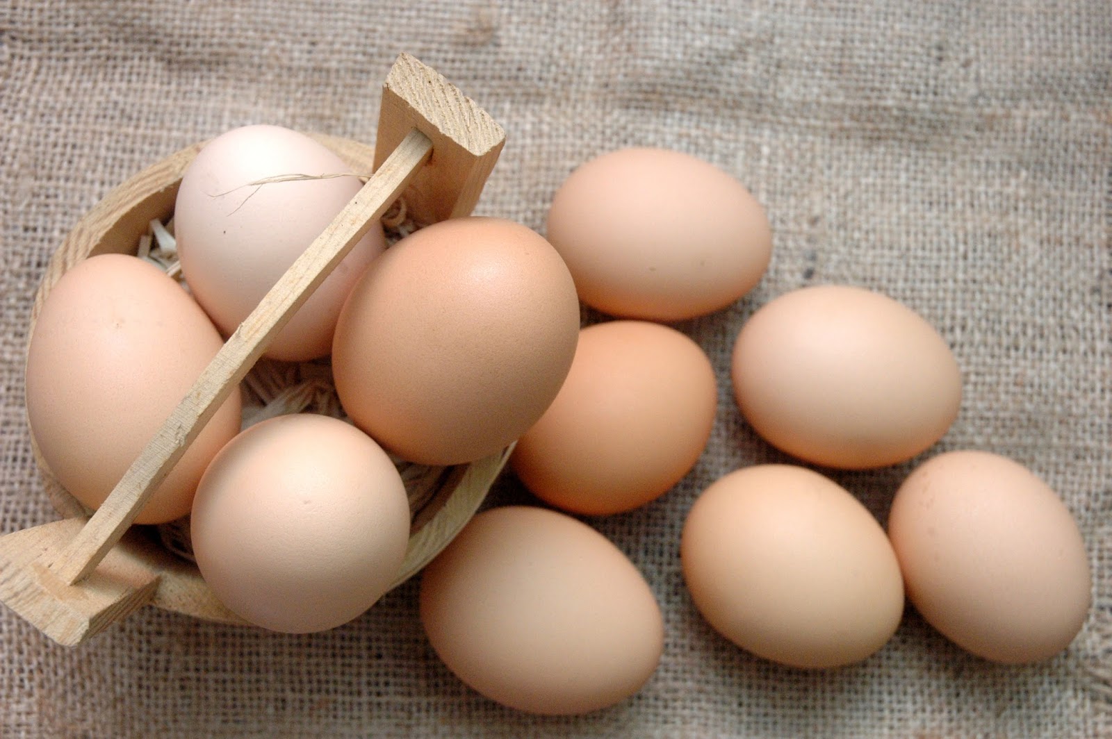 DUDE FOR FOOD Freshly Laid Farm Fresh Eggs From The Eggman