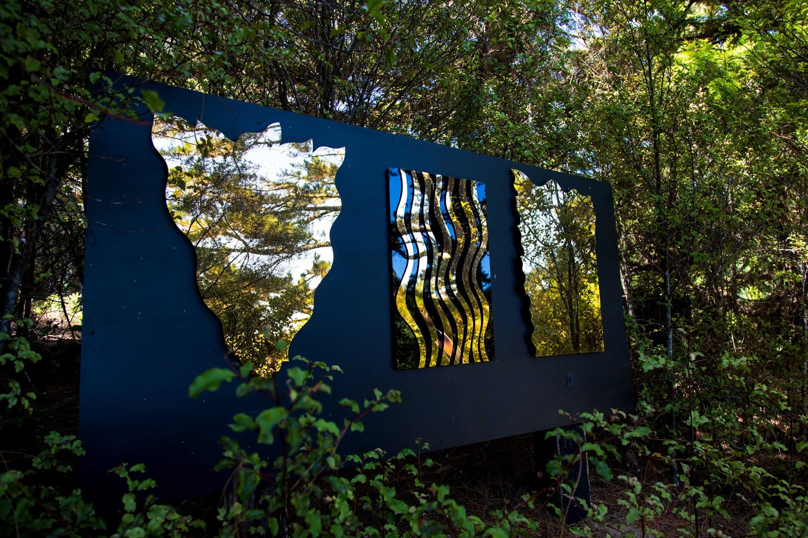 A Kiwi at the camera Kaipara Coast Sculpture Gardens Exhibition 2017