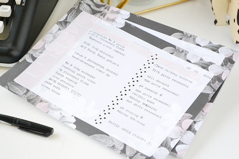 Aly Dosdall typecast typewriter and paper collection