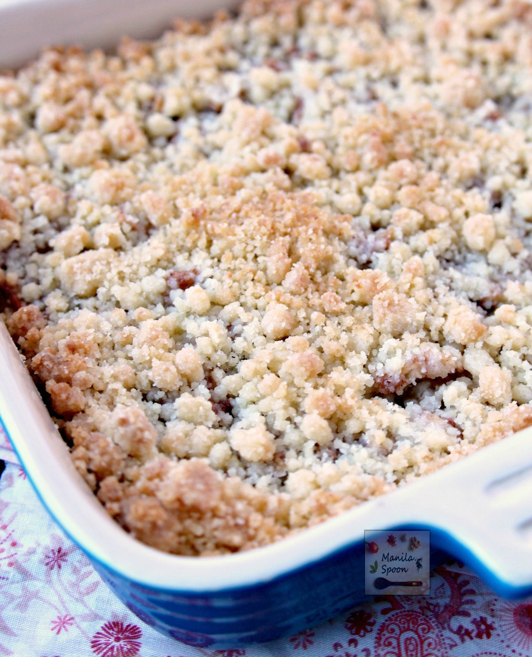All the flavors of your favorite apple pie and the delicious Dutch-style crumb topping make these bar cookies exceptionally yummy! Easy to make as well - Dutch Apple Pie Bars!