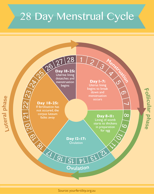 How to Get Pregnant Fast Using Ovulation Calculator and Calendar