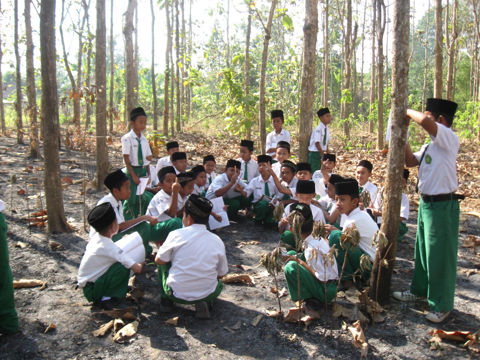 BILIK WARTA: LAPORAN OBSERVASI HUTAN BUATAN DI PULUT- BANGILAN