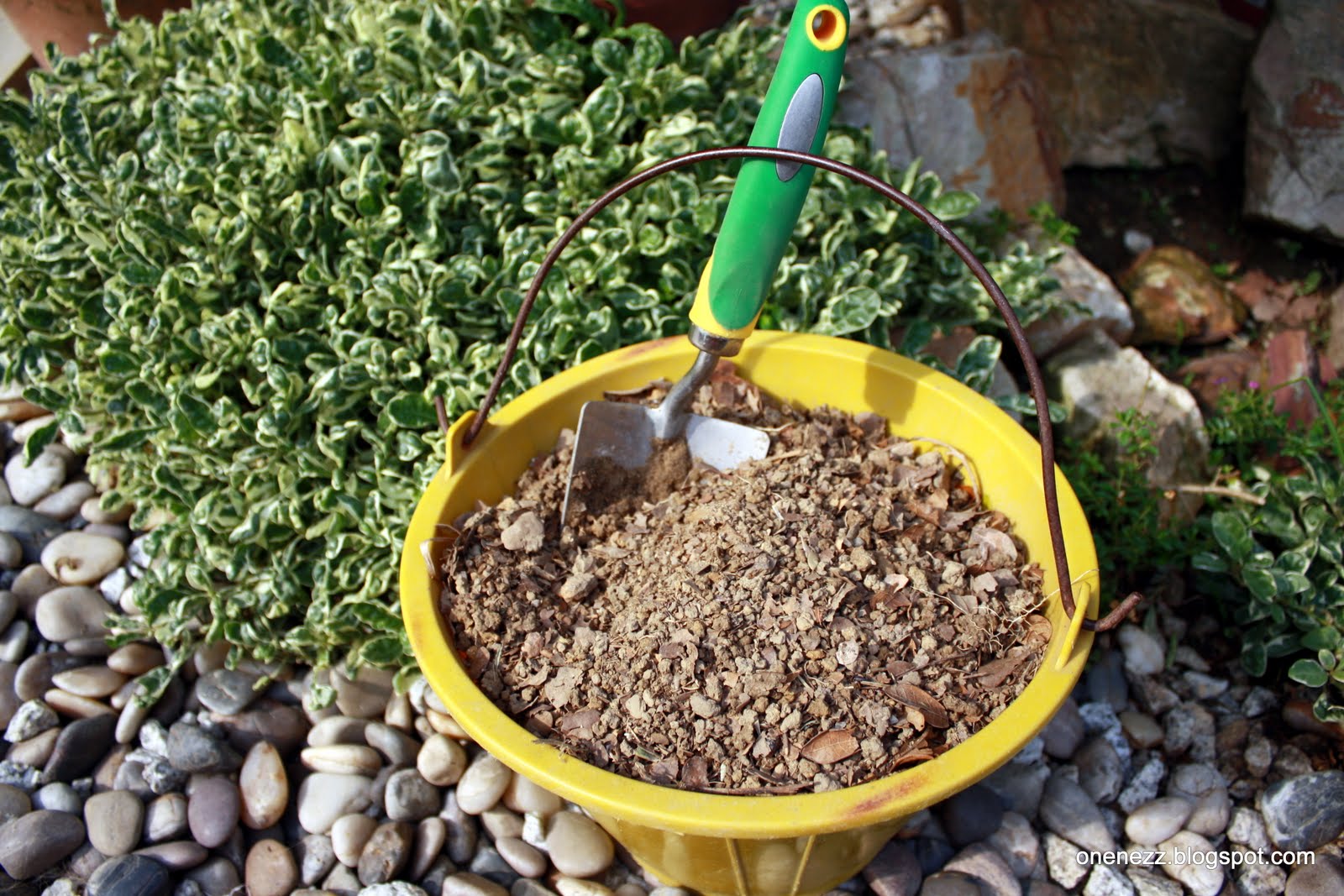 Onenezz Collecting Earthworm Castings