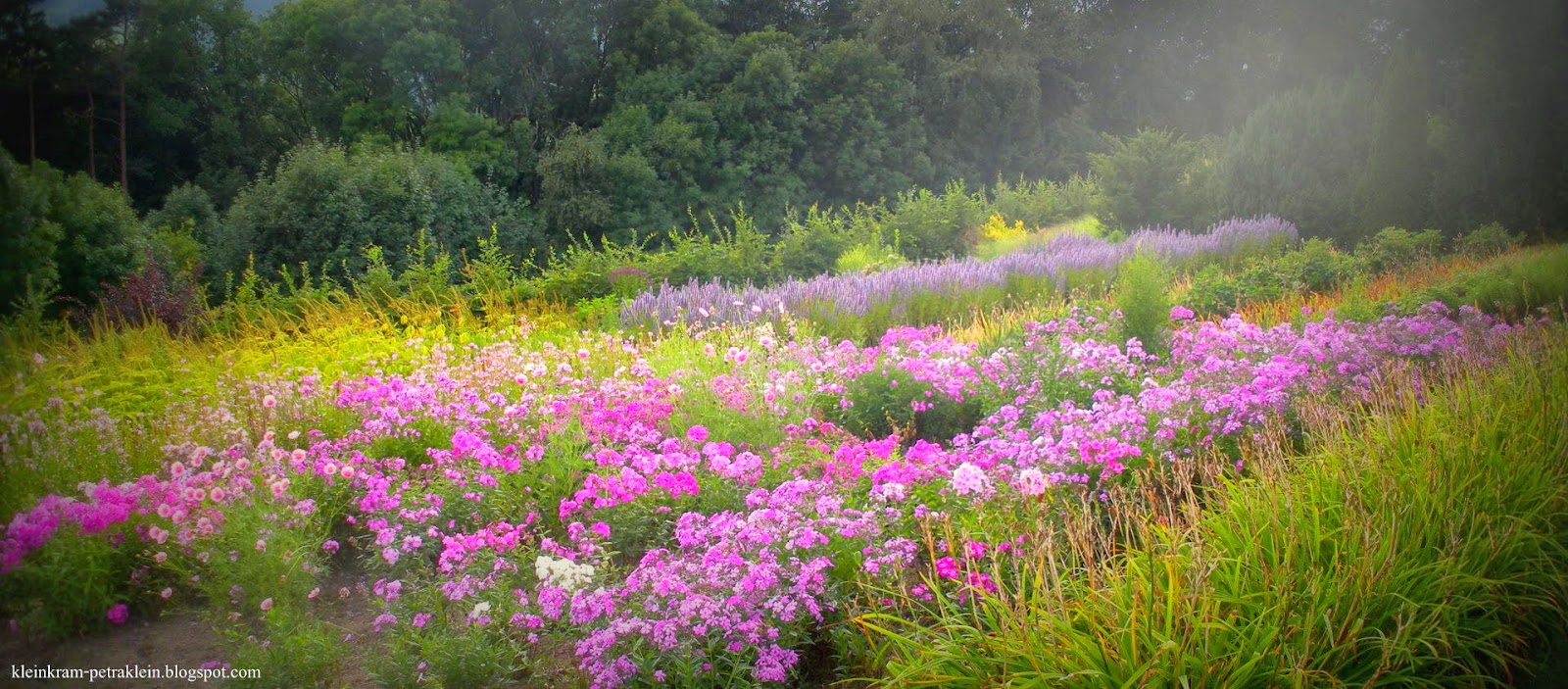NaturNah Garten der Geheimnisse