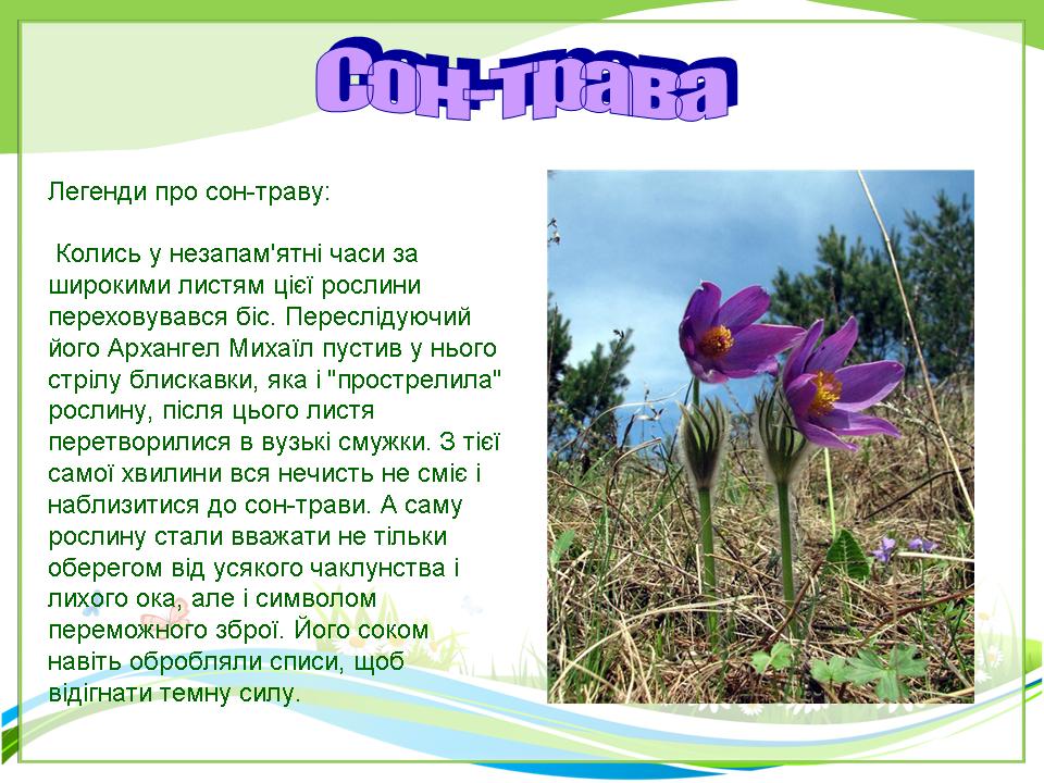 Сон трава проект 3 класс