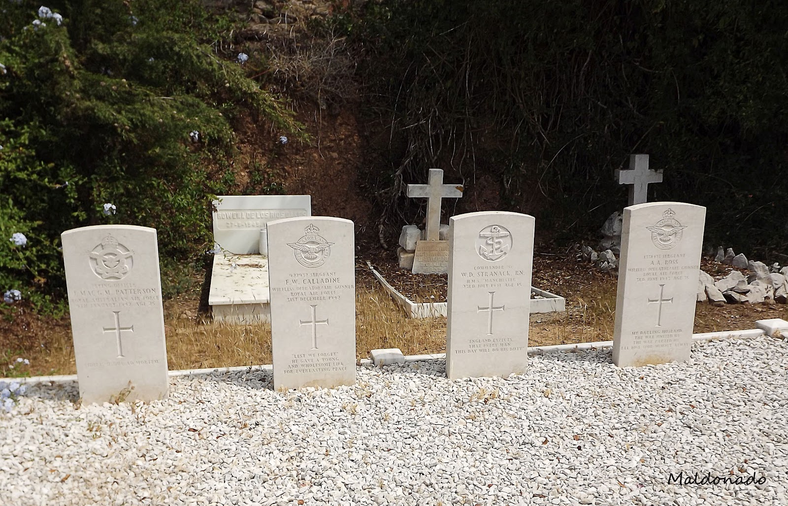 El Rincón de mis imágenes Cementerio Inglés Málaga (Parte II)