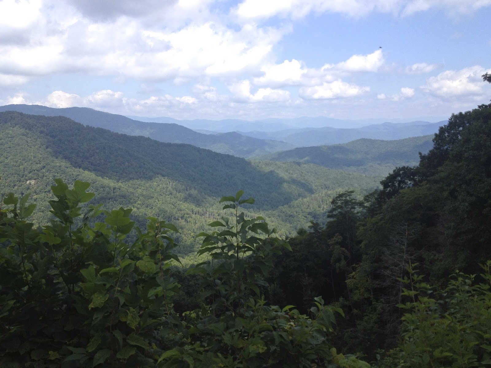 Cherokee National Forest Vacation