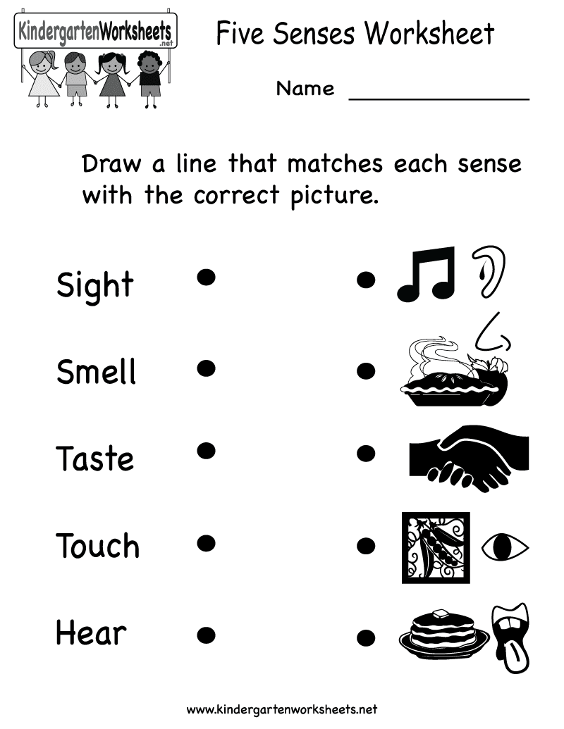 Senses Worksheets Free Library Download Common Worksheet Preschool Kindergarten 5