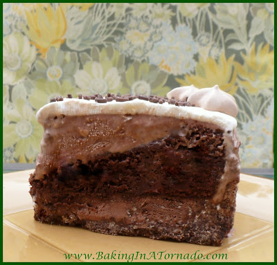 Chocolate Ice Cream Cake | www.BakingInATornado.com | #recipe #cake