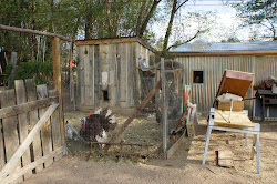 coop chicken turkey turkeys raised beds wild fence june