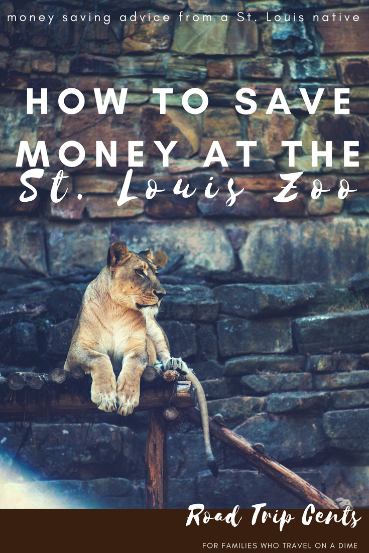 How to Save Money at The St. Louis Zoo Road Trip Cents