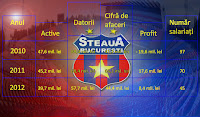 Indicatori financiari Steaua