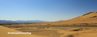 Badar padang pasir Arab Saudi 