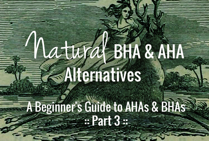 DIY/Natural Chemical Exfoliants, AHA & BHA Alternatives - Do They Work?