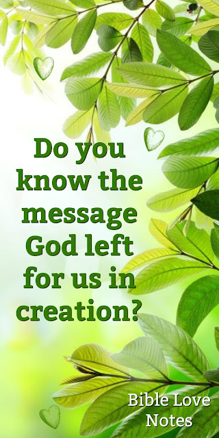 Scripture tells us that God has left a message for every man in creation. Do you recognize it? This 1-minute devotion explains. #BibleLoveNotes #Bible