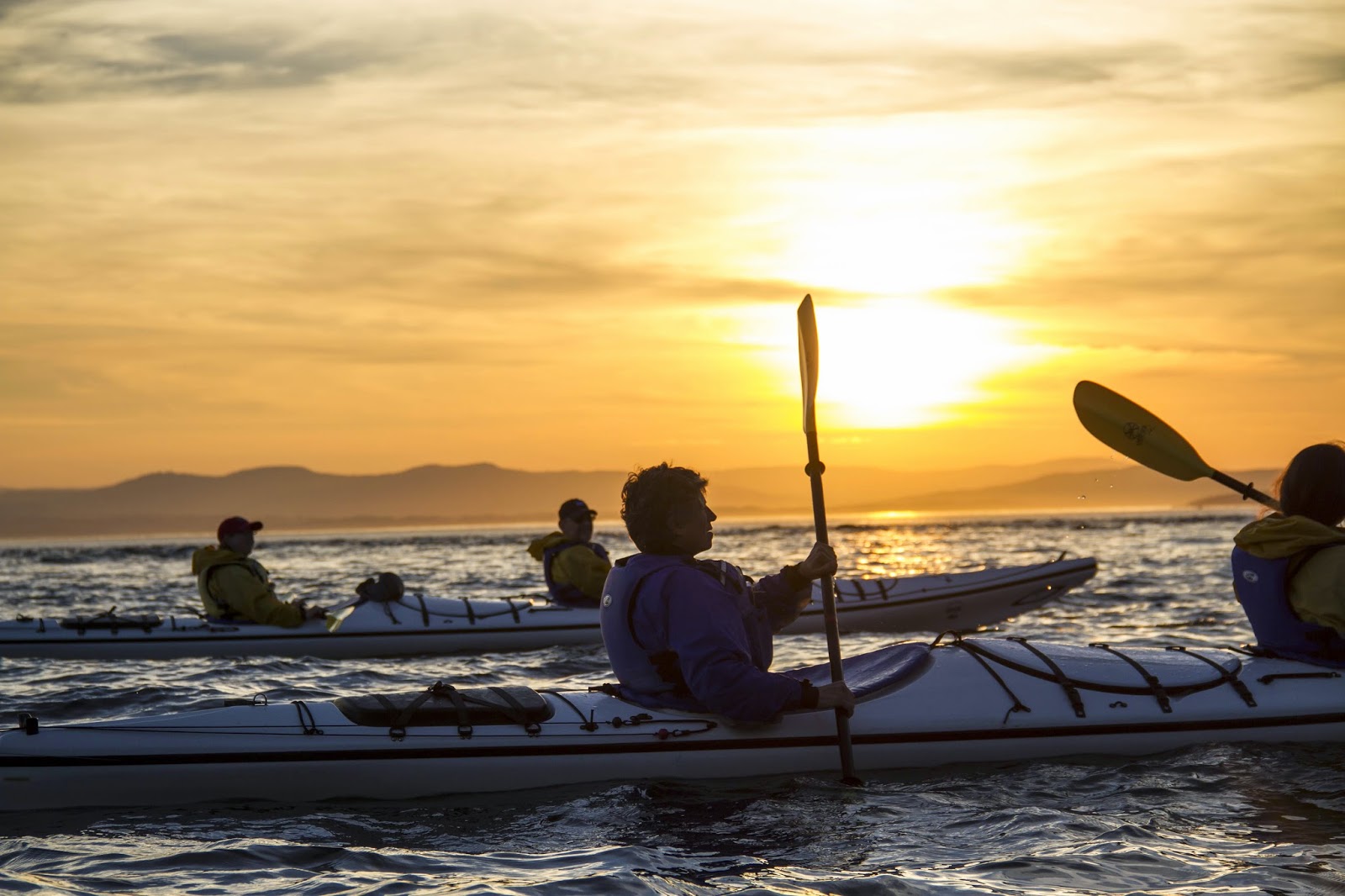 Kayak, Bike, Nature and Travel