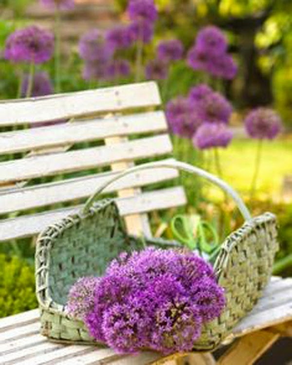 Cut flowers in enchanting decoration ideas