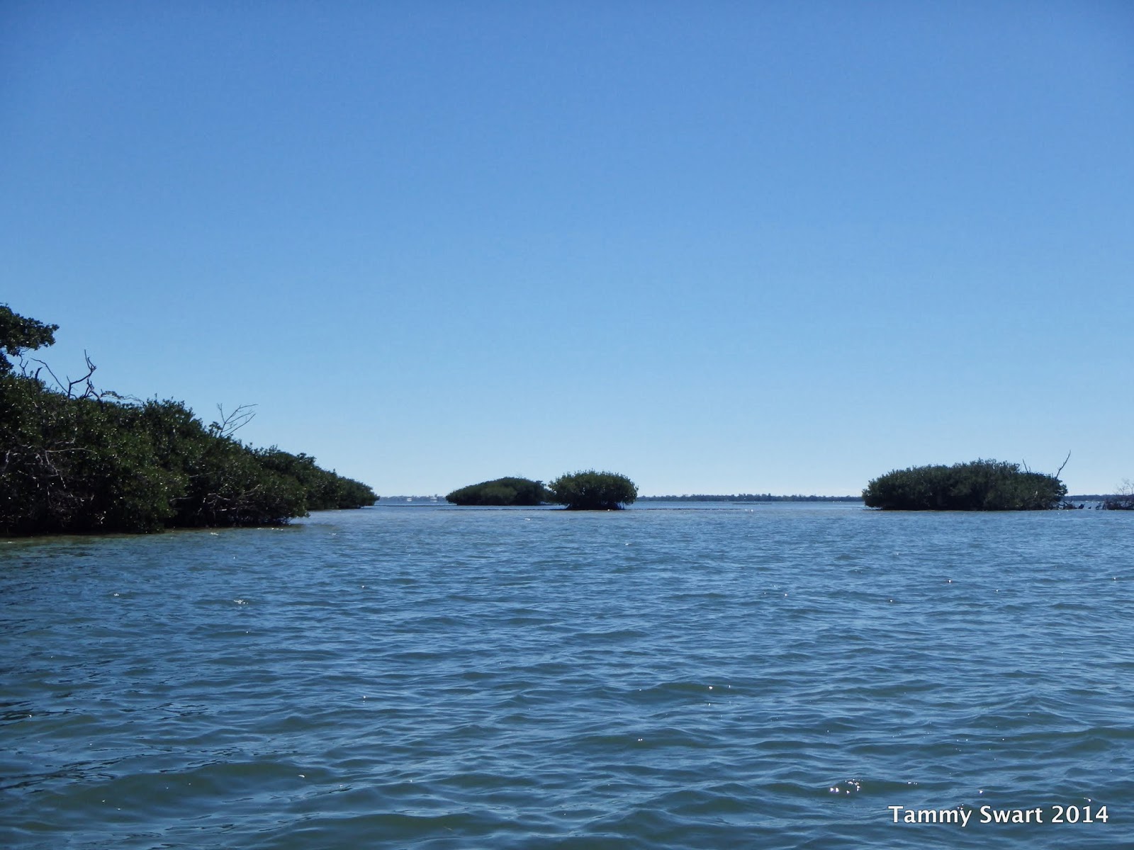Things we did today... Cabbage Key