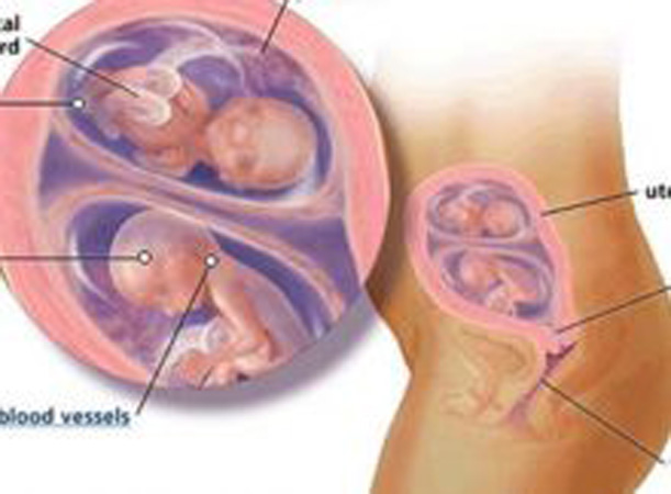 Natural Ways To Increase Sperm Growth Natural Ways To Increase Sperm Growth