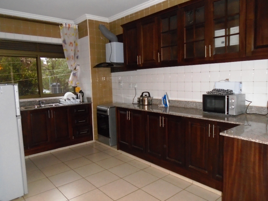 Houses for rent kampala Fully Furnished Apartments for rent in