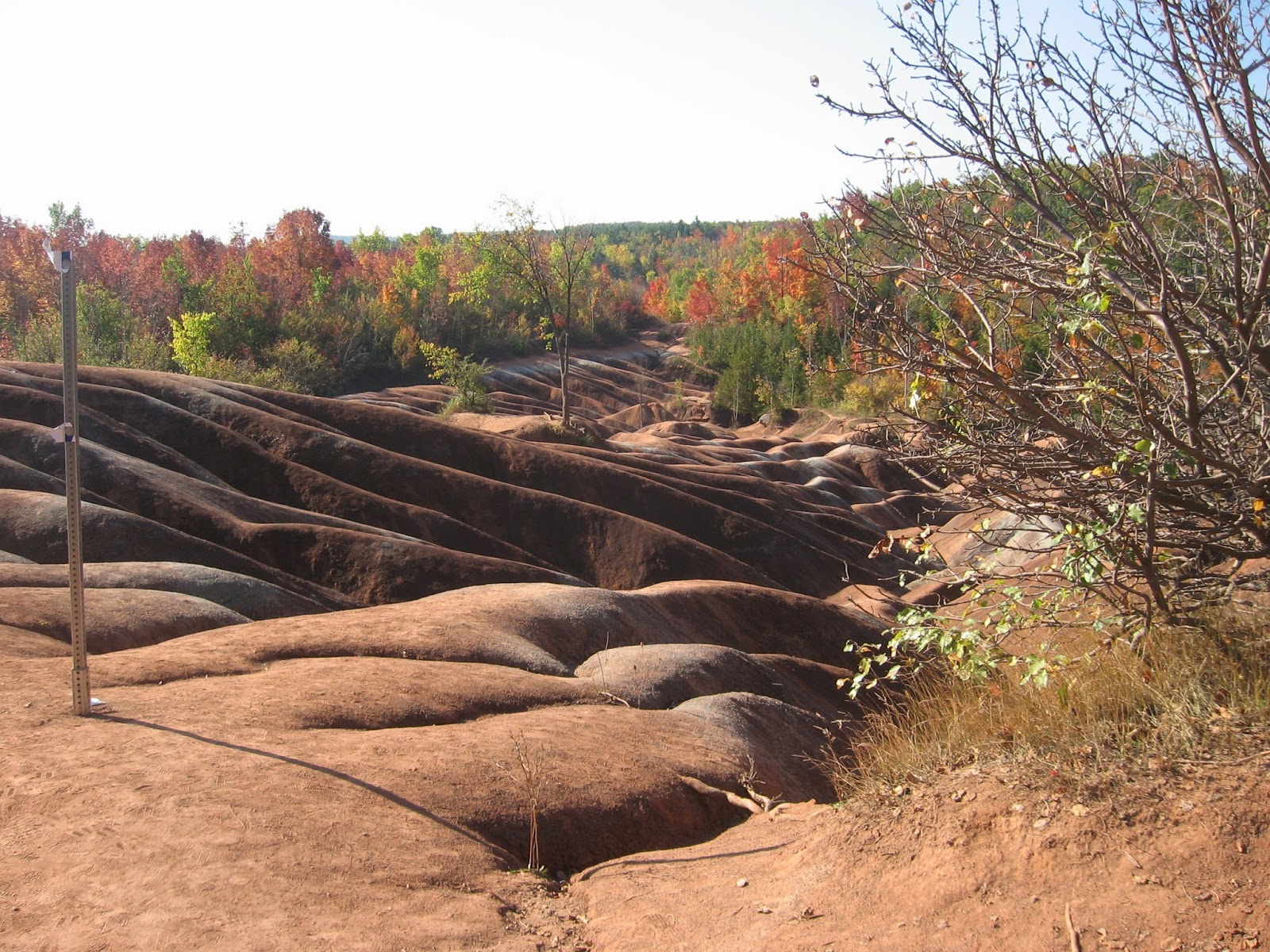Fibre Art by Mary Katherine Hopkins: Red Rocks in Cheltenham Ontario