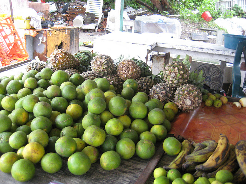 Fruits and Vegetables of Belize San Pedro Scoop