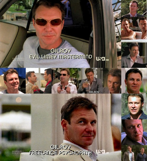 ...The Fangirl Files... Burn Notice Villains Love/Hate