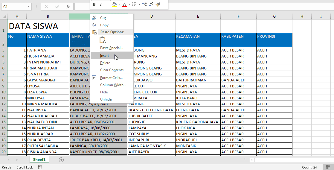 Cara Memodifikasi Kolom Baris Dan Cell Di Excel