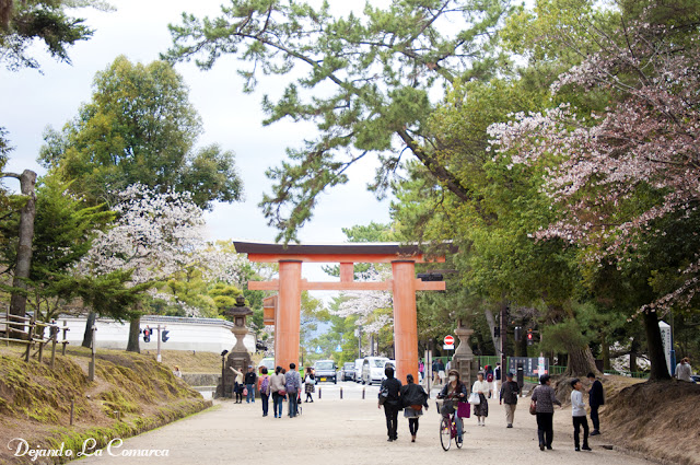 Día 10 - Nara - Osaka - Japón primavera 2016 - 18 días (con bajo presupuesto) (23)