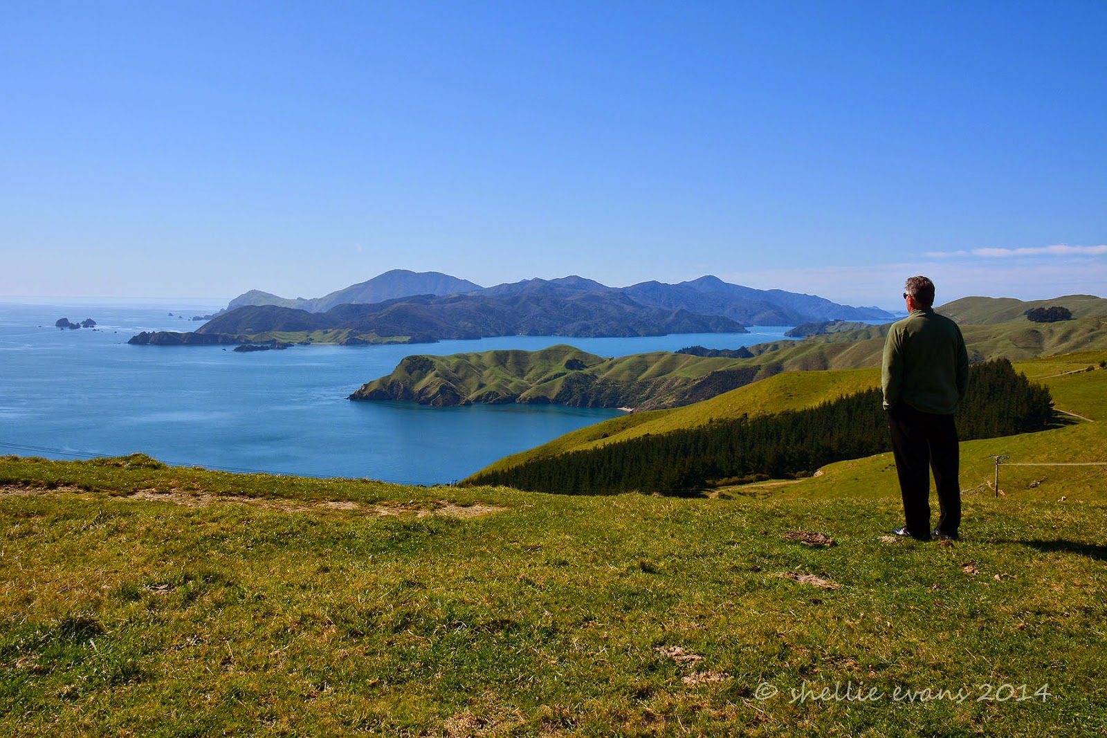 Two Go Tiki Touring The Road to French Pass