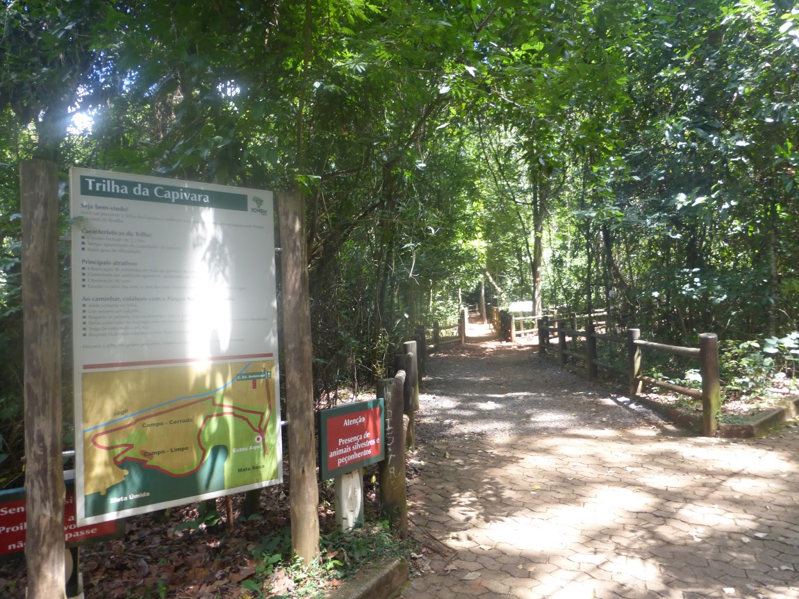 Parque da Água Mineral: um oásis no Cerrado