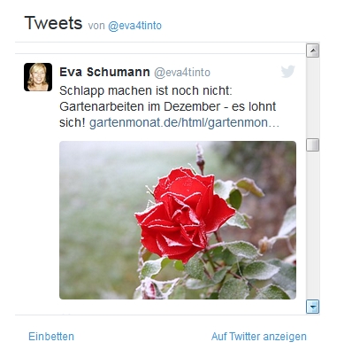 Twitter-Tweets auf einer Webseite einbinden Twitter-Tweets auf einer Webseite einbinden