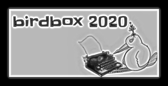 birdbox 2020