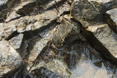 geopark merangin arung jeram sungai batang merangin fosil