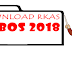 Aplikasi RKAS BOS 2018 Terbaru Sesuai Petunjuk Teknis (Juknis) 