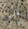 China's Area 51 called Gobi40 by us is the next big thing. China's Area 51 called Gobi40 by us is the next big thing.