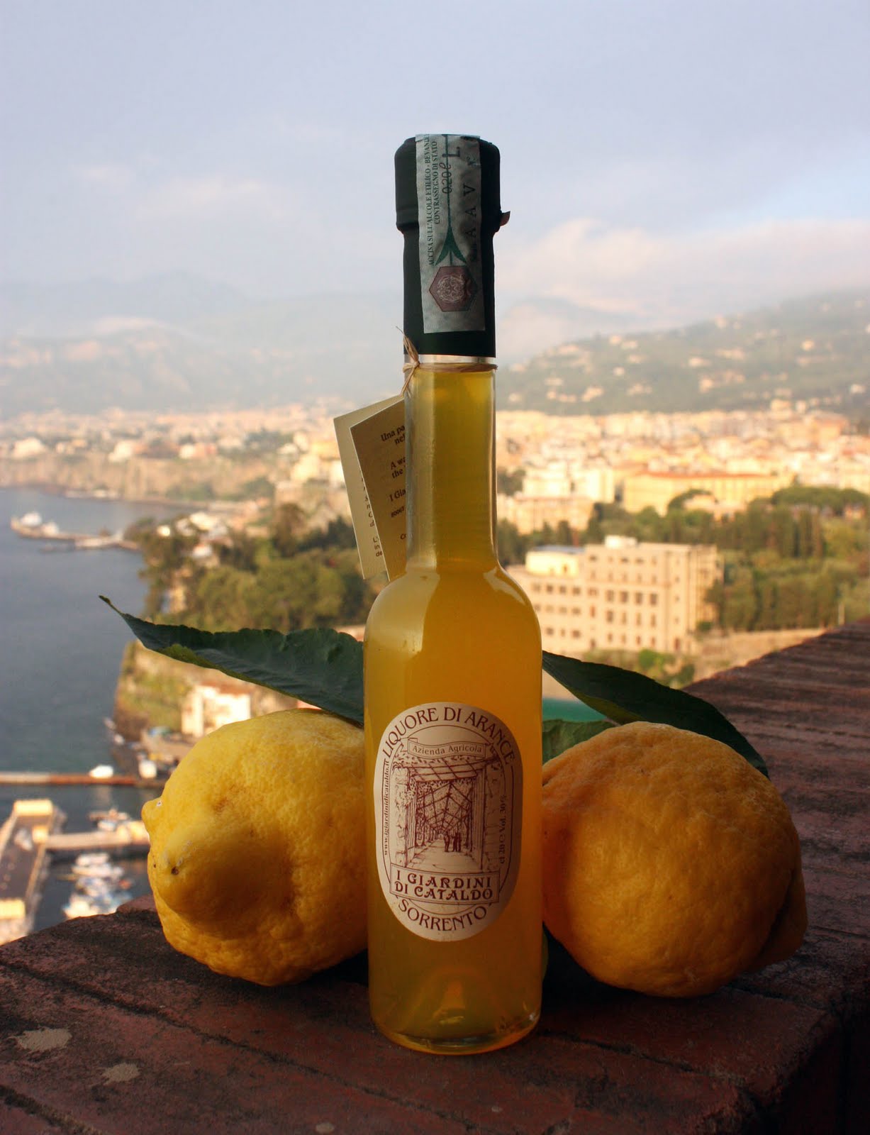 Checking the DidIt Box Drink Limoncello DID IT