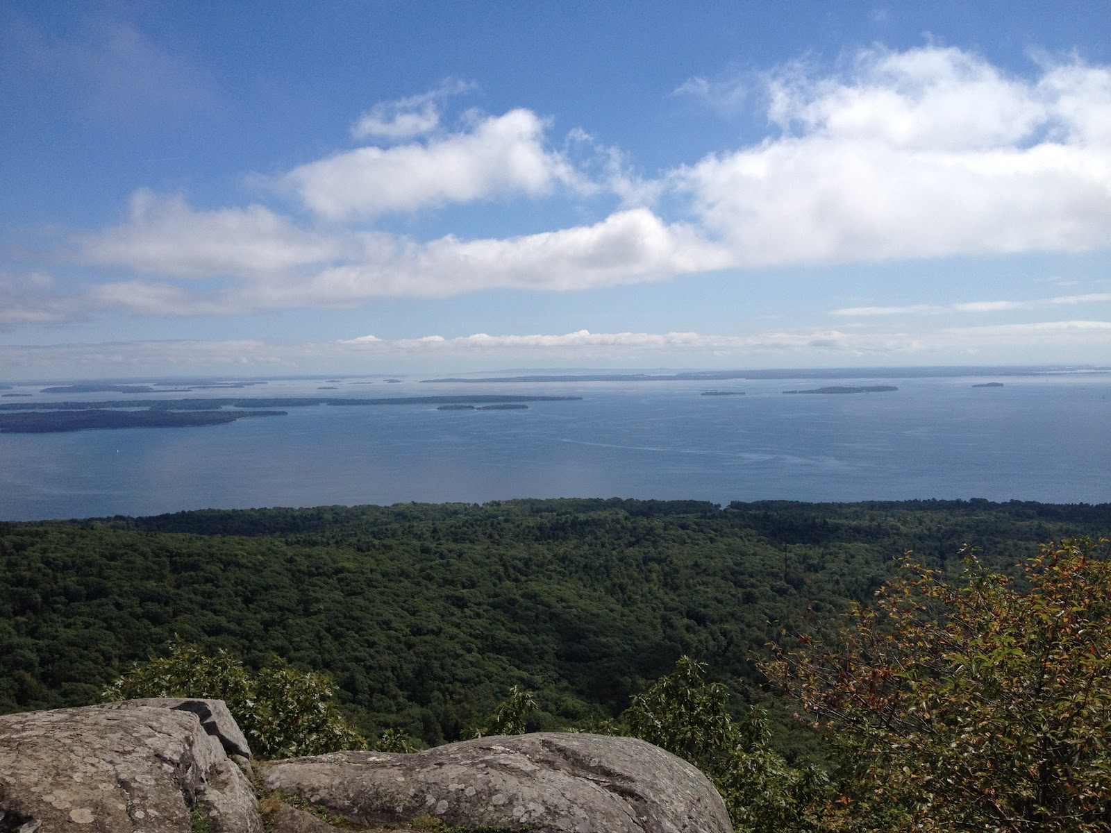 Moose in Maine Bald Rock Mountain