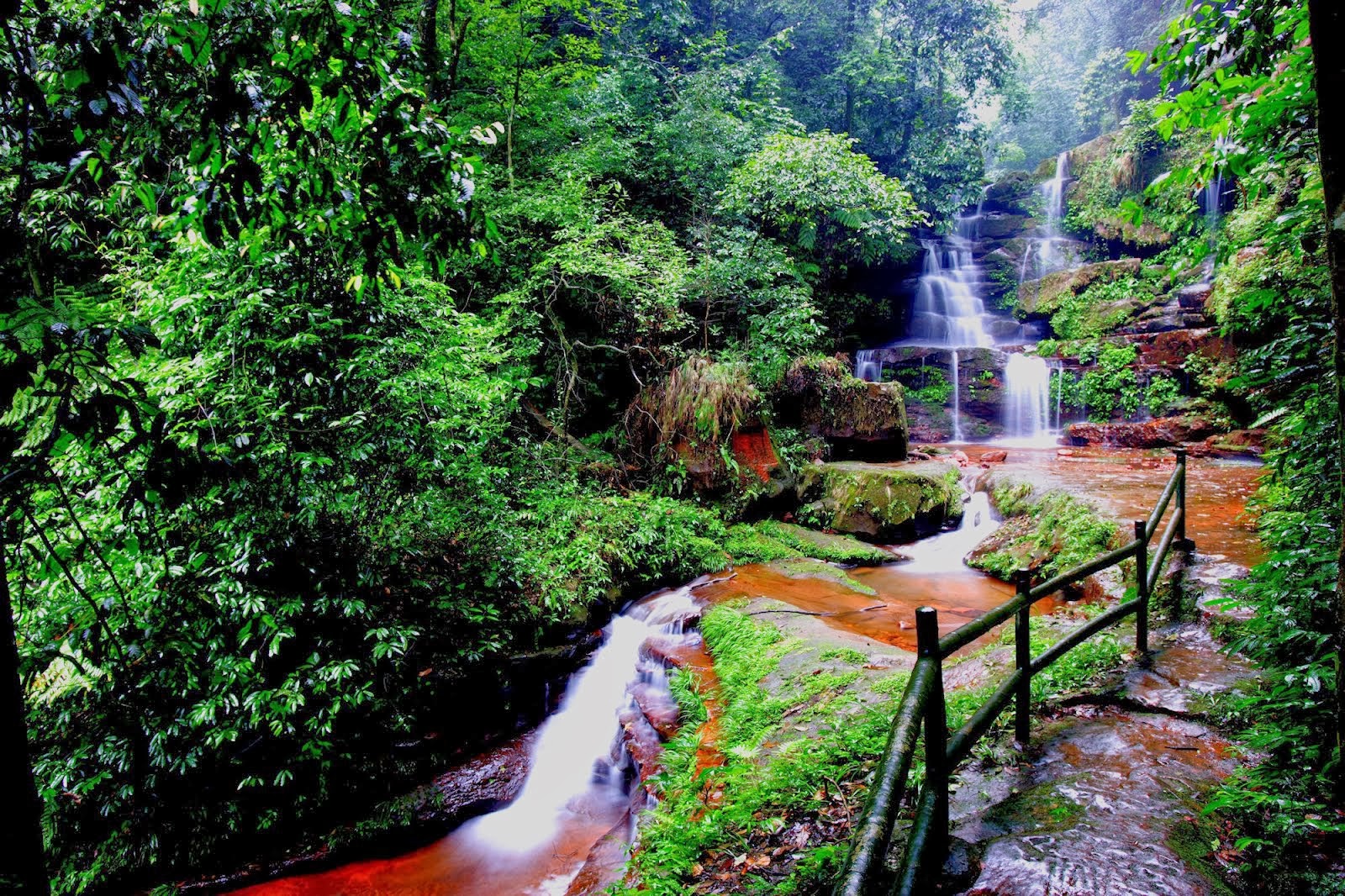 Imagenes hermosas,lindas y tiernas imAGENES DE AMOR