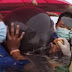 Φάλαινα εντοπίστηκε νεκρή με 18 κιλά πλαστικού στο στομάχι της στην Ταϊλάνδη (ΦΩΤΟ)